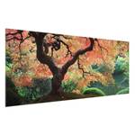 Tableau déco jardin japonais II Verre de sécurité ESG - Multicolore - 125 x 50 cm
