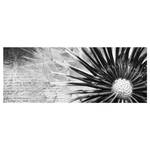 Tableau déco pissenlit noir et blanc Verre de sécurité ESG - Multicolore - 125 x 50 cm