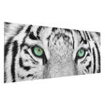 Tableau déco tigre blanc Verre de sécurité ESG - Multicolore - 80 x 30 cm
