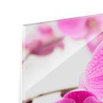 Tableau déco orchidée Verre de sécurité ESG - Multicolore - 100 x 40 cm