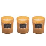 Duftkerzen Osmanthus & Amber (3er-Set) Orange