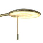 Staande LED-lamp Zenith II staal - 2 lichtbronnen