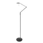 Lampadaire LED Zodiac VI Acier - 1 ampoule