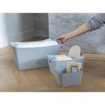 Panier de rangement 15 L BOXXX L Matière plastique - Platine