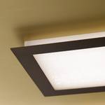 LED-plafondlamp Raich IV acryl/nikkel - 1 lichtbron