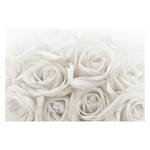 Vliestapete Weiße Rosen Vliespapier - Weiß - 384 x 255 cm