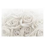 Papier peint roses blanches Papier peint - 480 x 320 cm