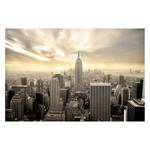 Vliestapete Manhattan Dawn Vliespapier - Beige - 288 x 190 cm