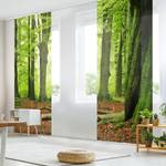 Schiebegardinen Beech Trees (6er-Set) Microfaser - Wandmontage