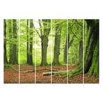 Schiebegardinen Beech Trees (6er-Set) Microfaser - Deckenmontage