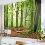 Schiebegardinen Beech Trees (6er-Set) Microfaser - Deckenmontage