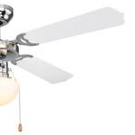 Plafonnier ventilateur Champion Verre dépoli / Fer - 1 ampoule