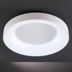 LED-plafondlamp Cameron V polycarbonaat/ijzer - 1 lichtbron