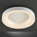 LED-plafondlamp Cameron V polycarbonaat/ijzer - 1 lichtbron