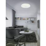 LED-plafondlamp Austin plexiglas/aluminium - 1 lichtbron