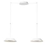 LED-hanglamp Skadi aluminium - 2 lichtbronnen