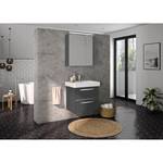 Salle de bain 3050 I (2 éléments) Éclairage inclus - Avec vasque en céramique - Gris mat - Largeur : 65 cm