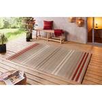 Tapis extérieur Paros Fibres synthétiques - Taupe - 80 x 150 cm