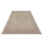 Tapis extérieur Anjara Beige - Marron - 200 x 290 cm