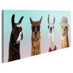 Bild Funny Lamas Holzwerkstoff - Mehrfarbig