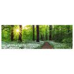Bild Frühlingswald Holzwerkstoff - Grün
