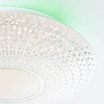 LED-Deckenleuchte Lucian Acrylglas / Stahl - 1-flammig