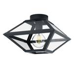 Plafondlamp Casefabre I transparant glas / staal - 1 lichtbron