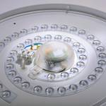 LED-Deckenleuchte Lavinia I Acrylglas / Eisen - 1-flammig