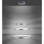 LED-Pendelleuchte Circle V Acrylglas / Eisen - 3-flammig