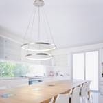 LED-Pendelleuchte Circle IV Acrylglas / Eisen - 2-flammig