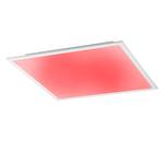 LED-plafondlamp Flat II acryl/ijzer - 1 lichtbron