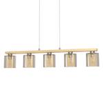 Hanglamp Castralvo glas/staal - 5 lichtbronnen