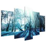 Acrylglas-afbeelding Blue Glade acrylglas - blauw/wit - 200 x 100 cm