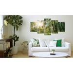 Acrylglas-afbeelding Green Sanctuary acrylglas - groen - 100 x 50 cm