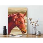 Malen nach Zahlen - Braunes Pferd Leinen - Mehrfarbig - 40 x 60 cm