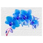 Papier peint intissé Blue Excitation Intissé premium - Bleu / Blanc - 350 x 245 cm