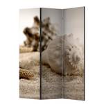 Kamerscherm Beach & Shell (3-delig) vlies - beige - 135 x 172 cm