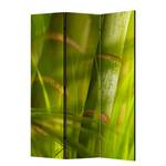 Paravent Bamboo Nature Zen Vlies - Grün - 3-teilig