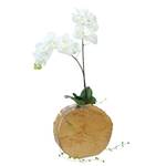 Arrangement Orchidee in Holz II Weiß - Kunststoff - Textil - Holzart/Dekor - 28 x 80 x 8 cm