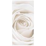 Raumteiler Pretty White Rose Mikrofaser / Polyester - Weiß