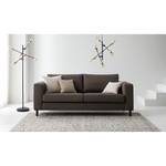 2,5-Sitzer Sofa COSO Classic Echtleder - Echtleder Neto: Braun - Buche