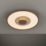 Plafondlamp Shedd kunststof/ijzer - 1 lichtbron