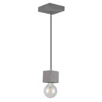Hanglamp Strong IV beton - 1 lichtbron