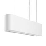 Hanglamp Illumina I plexiglas/staal - 1 lichtbron