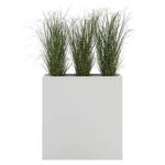 Plantentafel Cookley Heldergrijs - Breedte: 75 cm