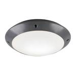 Plafondlamp Camaro polyetheen - Grijs - Aantal lichtbronnen: 1