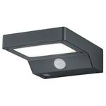 LED-wandlamp Fomosa polyetheen/aluminium - 1 lichtbron