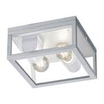 Plafondlamp Garonne transparant glas/aluminium - 2 lichtbronnen - Zilver