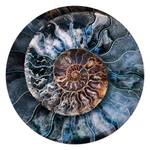 Afbeelding Mandala Schelp blauw