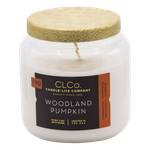 Bougie parfumée Woodland Pumpkin 396 Gramm